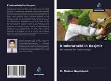 Bookcover of Kinderarbeid in Kasjmir