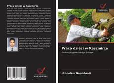 Praca dzieci w Kaszmirze的封面