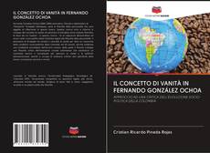 Bookcover of IL CONCETTO DI VANITÀ IN FERNANDO GONZÁLEZ OCHOA