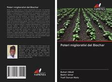 Bookcover of Poteri migliorativi del Biochar