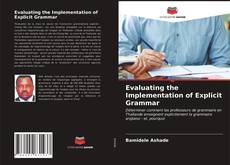 Bookcover of Evaluating the Implementation of Explicit Grammar