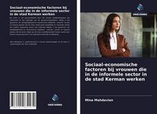 Sociaal-economische factoren bij vrouwen die in de informele sector in de stad Kerman werken的封面