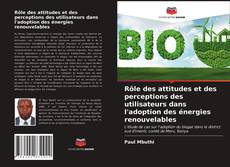 Rôle des attitudes et des perceptions des utilisateurs dans l'adoption des énergies renouvelables的封面