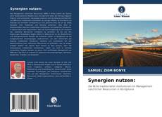 Bookcover of Synergien nutzen: