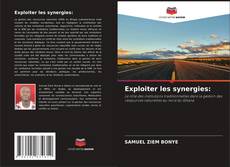 Обложка Exploiter les synergies: