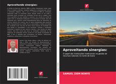 Bookcover of Aproveitando sinergias: