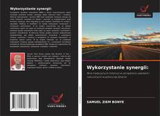 Portada del libro de Wykorzystanie synergii: