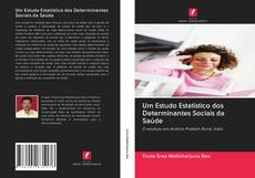 Capa do livro de Um Estudo Estatístico dos Determinantes Sociais da Saúde 