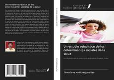 Un estudio estadístico de los determinantes sociales de la salud kitap kapağı