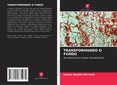 Buchcover von TRANSFORMANDO O FUNDO