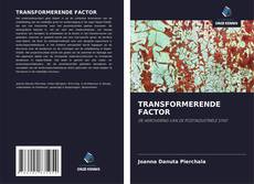 Bookcover of TRANSFORMERENDE FACTOR