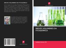 Buchcover von BREVES VISLUMBRES DA FITOQUÍMICA