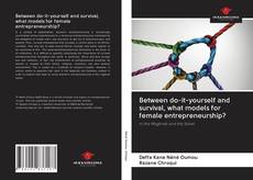 Bookcover of Between do-it-yourself and survival, what models for female entrepreneurship?