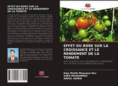 Buchcover von EFFET DU BORE SUR LA CROISSANCE ET LE RENDEMENT DE LA TOMATE