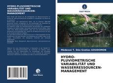 HYDRO-PLUVIOMETRISCHE VARIABILITÄT UND WASSERRESSOURCEN-MANAGEMENT的封面