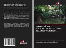 VARIABILITÀ IDRO-PLUVIOMETRICA E GESTIONE DELLE RISORSE IDRICHE kitap kapağı