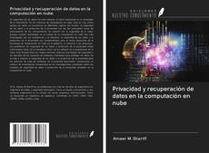 Privacidad y recuperación de datos en la computación en nube kitap kapağı