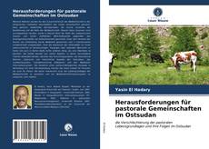 Bookcover of Herausforderungen für pastorale Gemeinschaften im Ostsudan