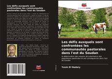 Bookcover of Les défis auxquels sont confrontées les communautés pastorales dans l'est du Soudan