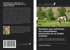 Bookcover of Desafíos que enfrentan las comunidades pastorales en el Sudán oriental