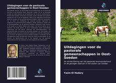 Bookcover of Uitdagingen voor de pastorale gemeenschappen in Oost-Soedan