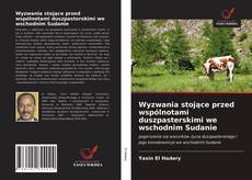 Capa do livro de Wyzwania stojące przed wspólnotami duszpasterskimi we wschodnim Sudanie 