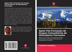 Apoio Pós-Formação de Grupos Comunitários de Utilizadores Florestais的封面