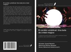 Borítókép a  El cordón umbilical: Una bola de cristal mágica - hoz