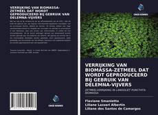 Обложка VERRIJKING VAN BIOMASSA-ZETMEEL DAT WORDT GEPRODUCEERD BIJ GEBRUIK VAN DELEMNA-VIJVERS