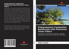 Bookcover of Polypropylene Composites Reinforced with Phormium Tenax Fibers