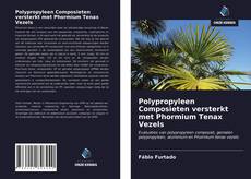 Bookcover of Polypropyleen Composieten versterkt met Phormium Tenax Vezels