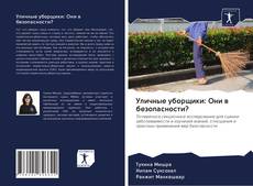 Обложка Уличные уборщики: Они в безопасности?