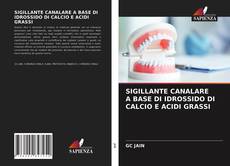 Bookcover of SIGILLANTE CANALARE A BASE DI IDROSSIDO DI CALCIO E ACIDI GRASSI