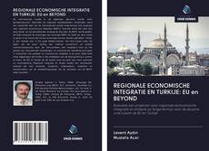 Bookcover of REGIONALE ECONOMISCHE INTEGRATIE EN TURKIJE: EU en BEYOND