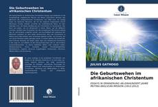 Buchcover von Die Geburtswehen im afrikanischen Christentum