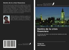Dentro de la crisis financiera kitap kapağı