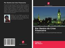 Por Dentro da Crise Financeira kitap kapağı