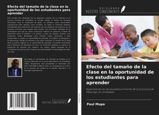 Обложка Efecto del tamaño de la clase en la oportunidad de los estudiantes para aprender