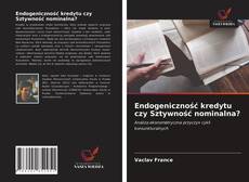 Bookcover of Endogeniczność kredytu czy Sztywność nominalna?