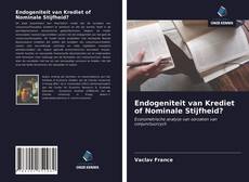 Buchcover von Endogeniteit van Krediet of Nominale Stijfheid?