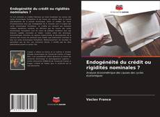 Buchcover von Endogénéité du crédit ou rigidités nominales ?