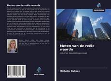 Bookcover of Meten van de reële waarde