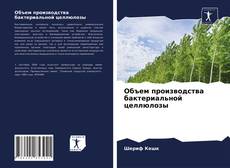 Bookcover of Объем производства бактериальной целлюлозы