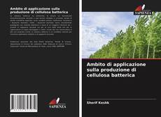 Ambito di applicazione sulla produzione di cellulosa batterica的封面