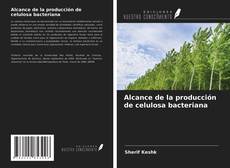 Borítókép a  Alcance de la producción de celulosa bacteriana - hoz