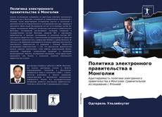 Обложка Политика электронного правительства в Монголии
