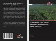 Bookcover of Valutazione delle attività commerciali Timberland negli Stati Uniti