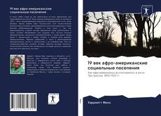 Bookcover of 19 век афро-американские социальные поселения