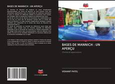 Bookcover of BASES DE MANNICH : UN APERÇU