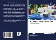 МАННИЧЕСКИЕ БАЗЫ: ОБЗОР kitap kapağı